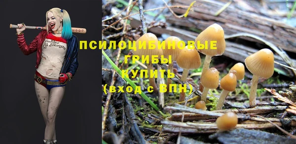 гашишное масло Пересвет