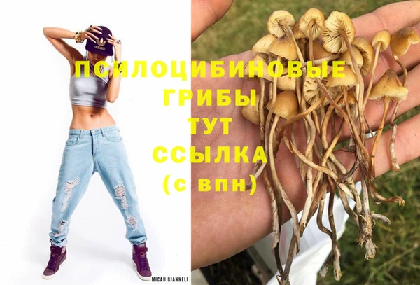 мяу мяу мука Елизово