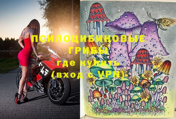 твердый Осинники